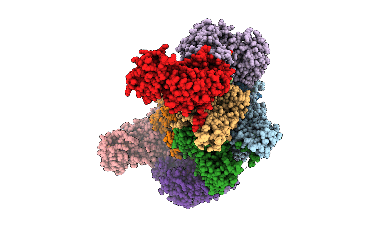 5b04 image