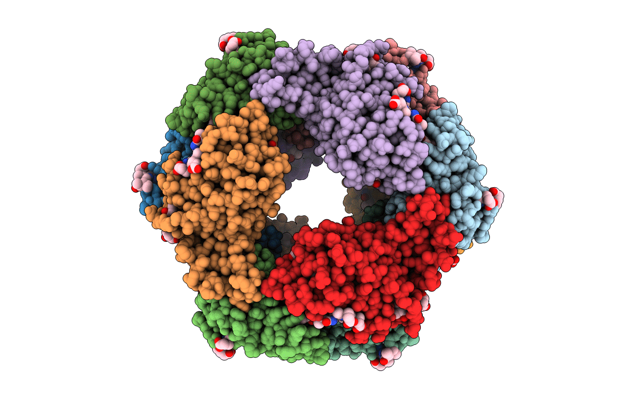 5B13 image