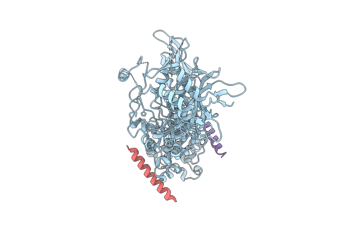 5B16 image