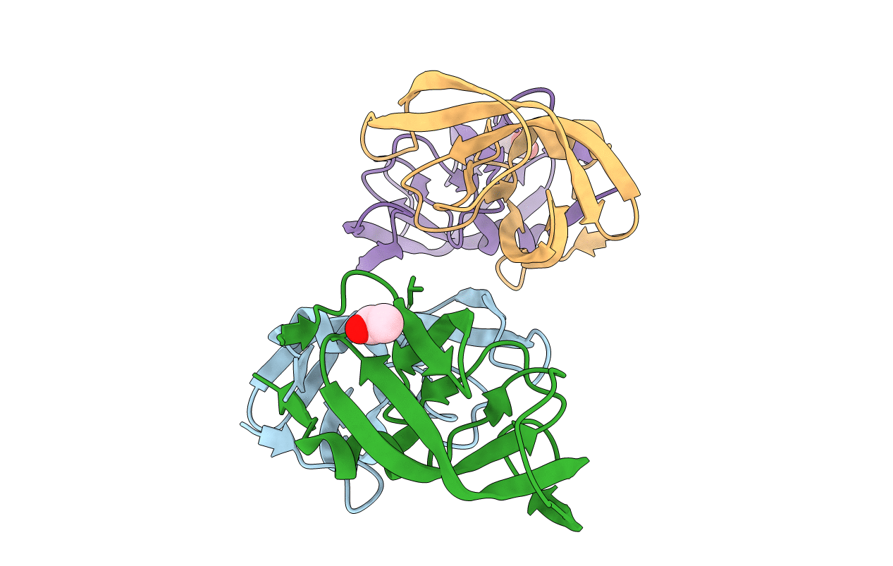 5B18 image