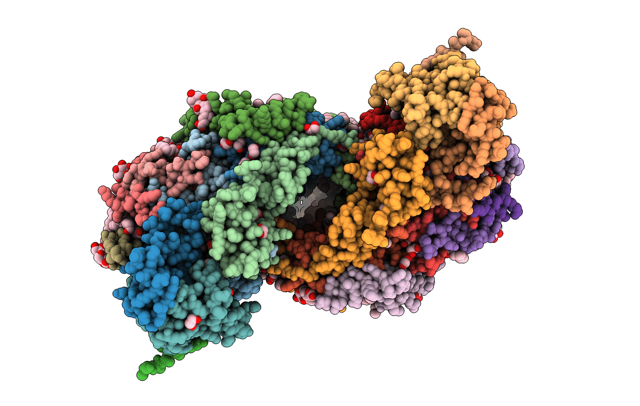 5B1B image