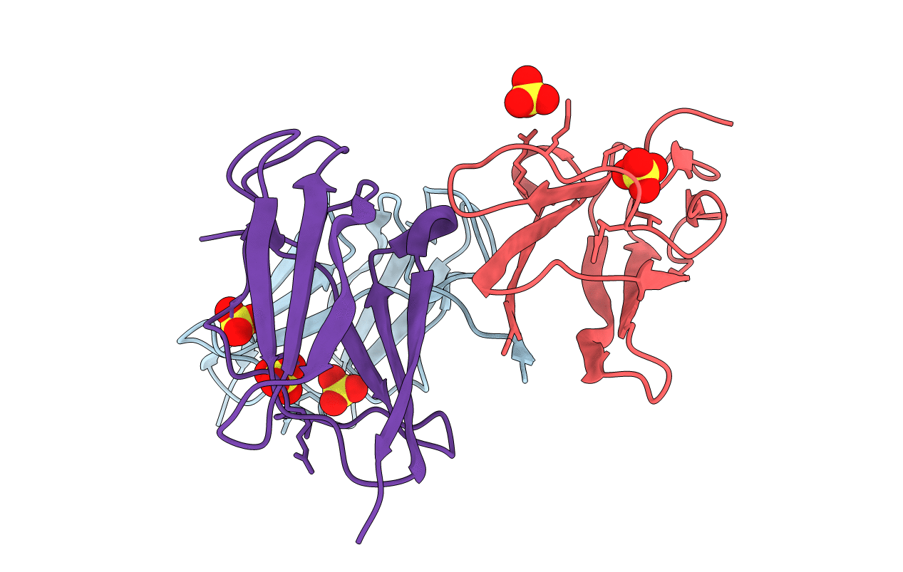 5B1C image