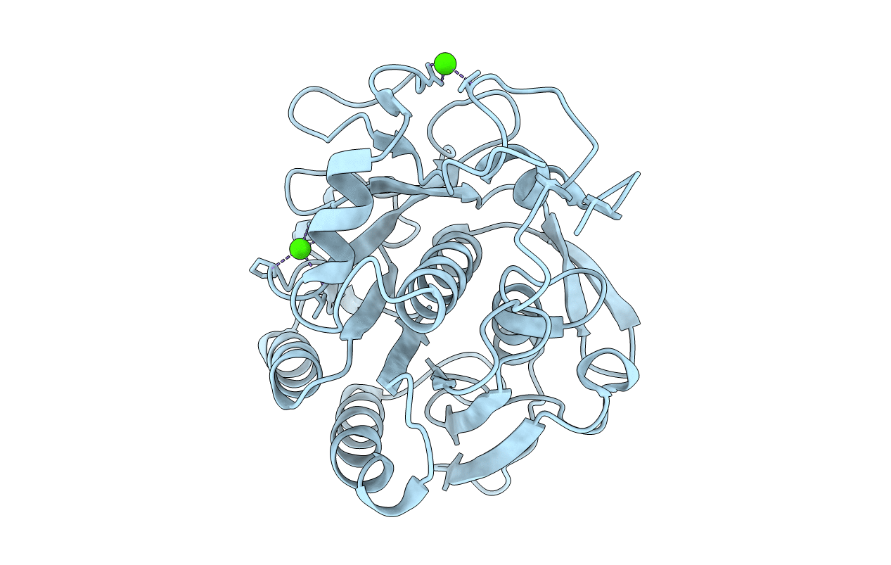 5B1D image