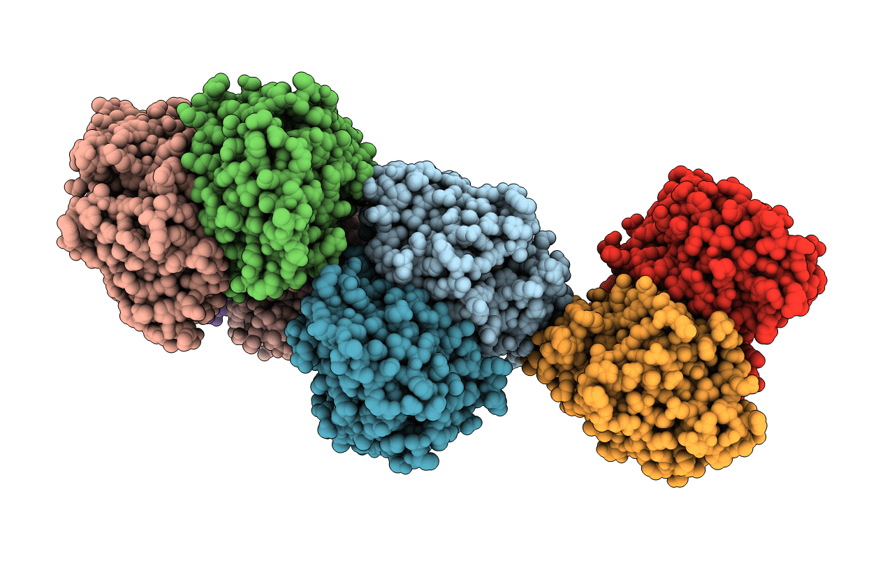 5B1I image