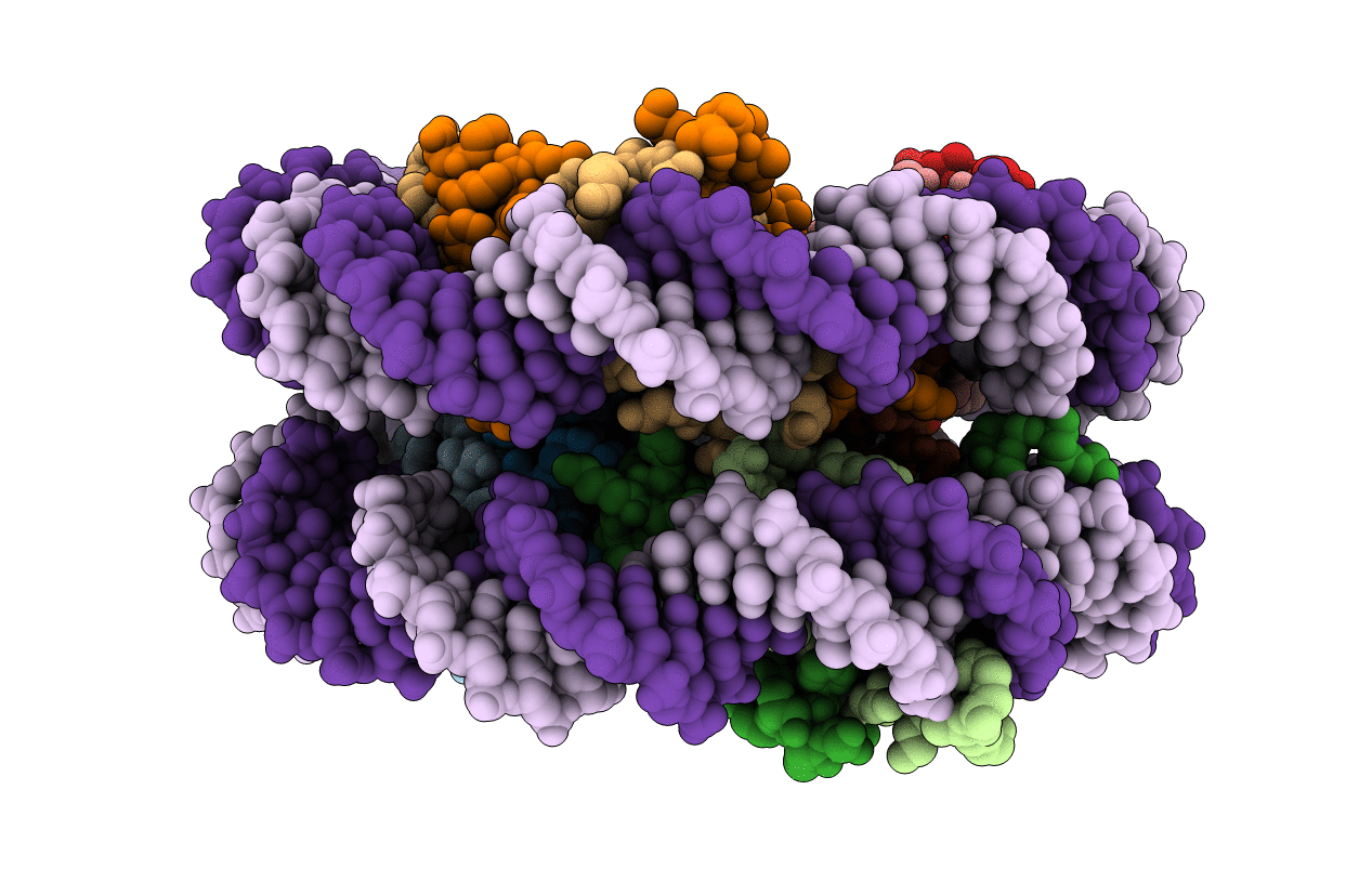5B1M image
