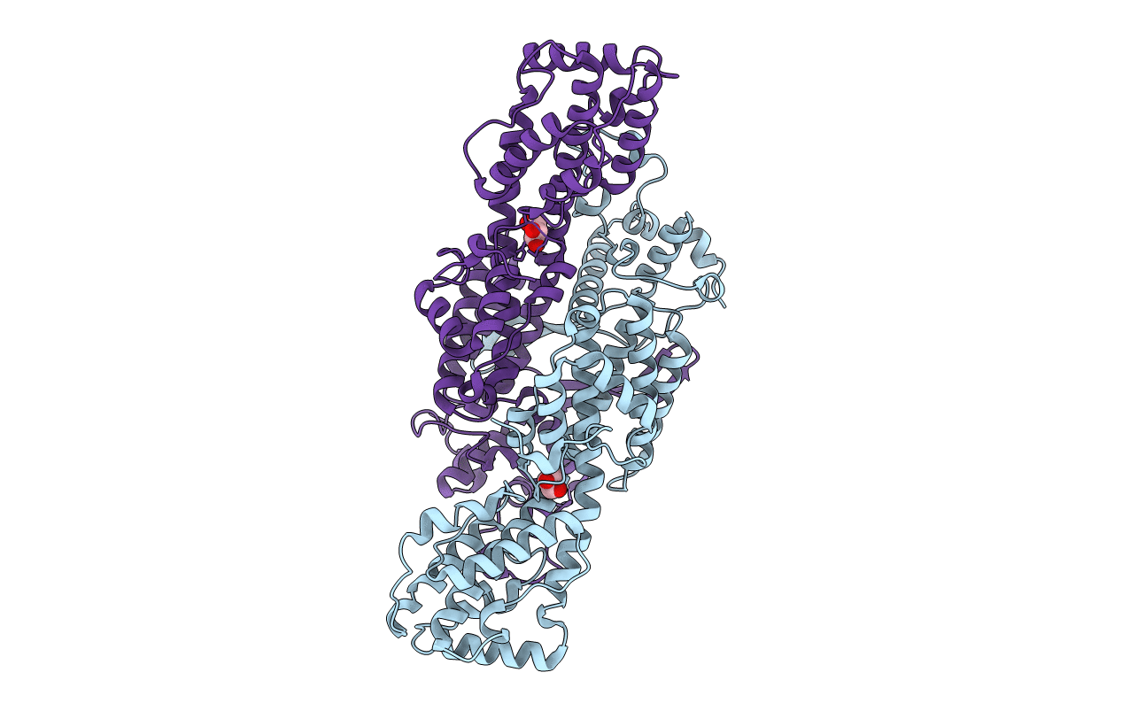 5B1Q image