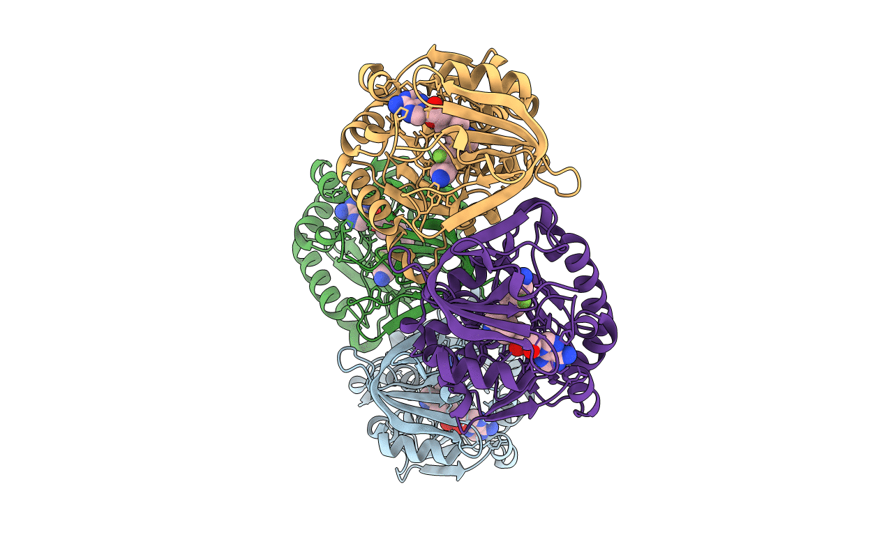 5B1S image