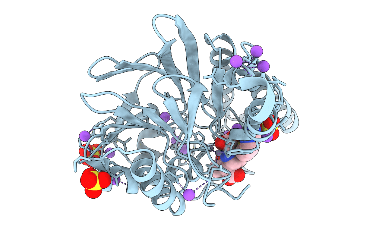 5B1U image