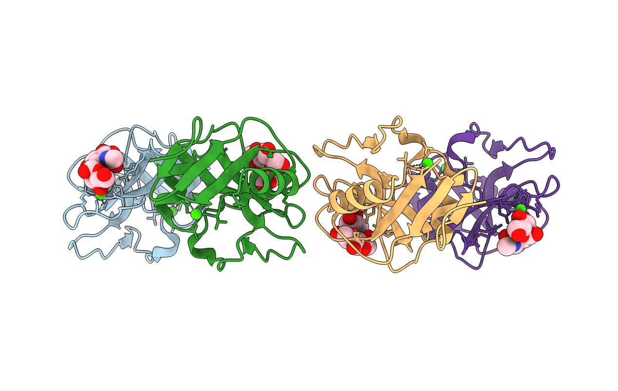 5B1X image