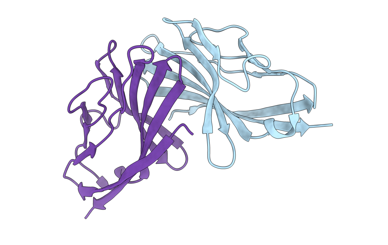 5B21 image