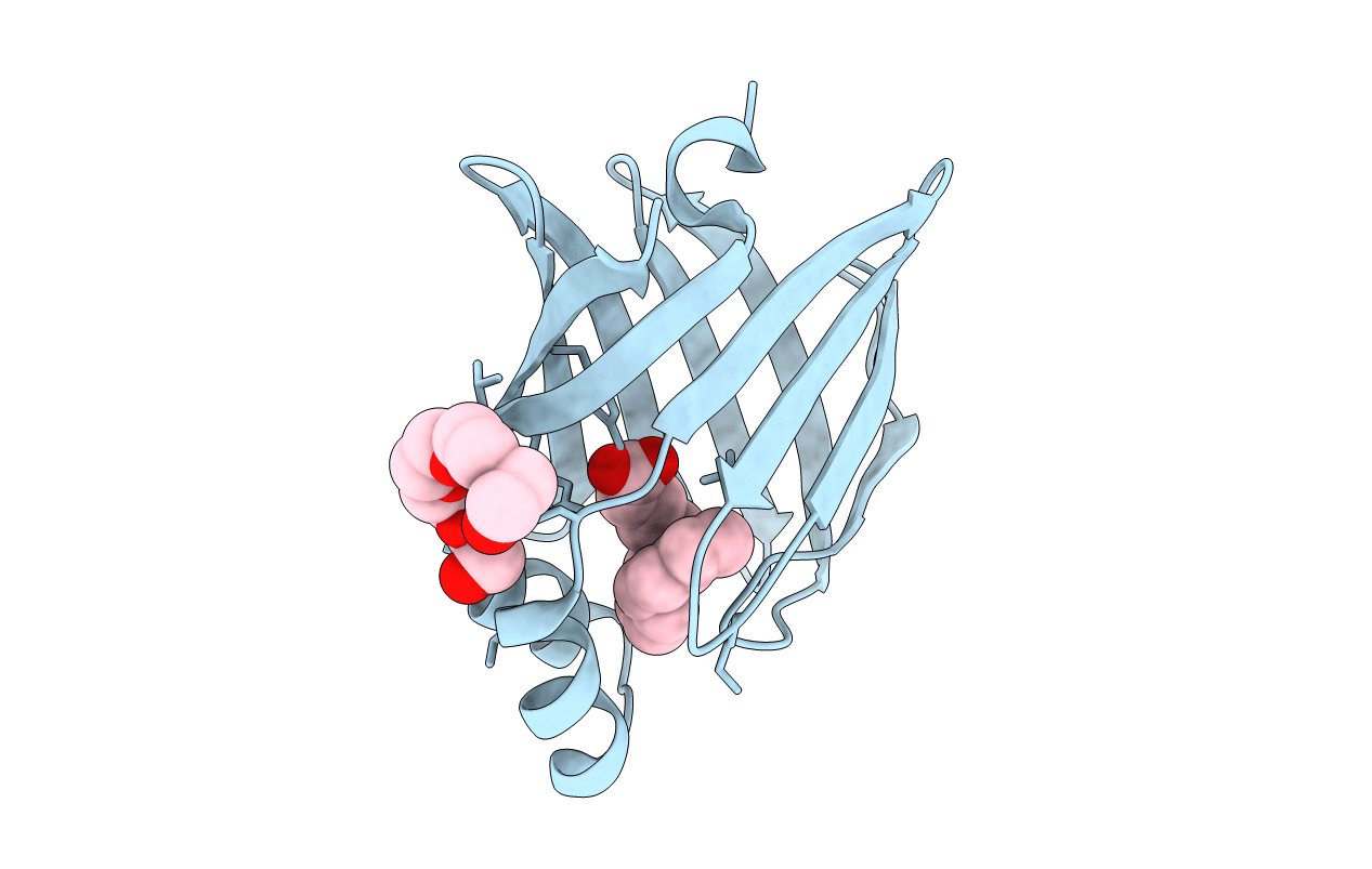 5B28 image