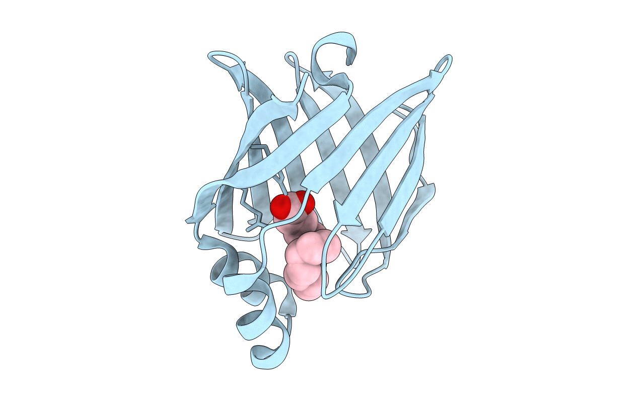 5B29 image