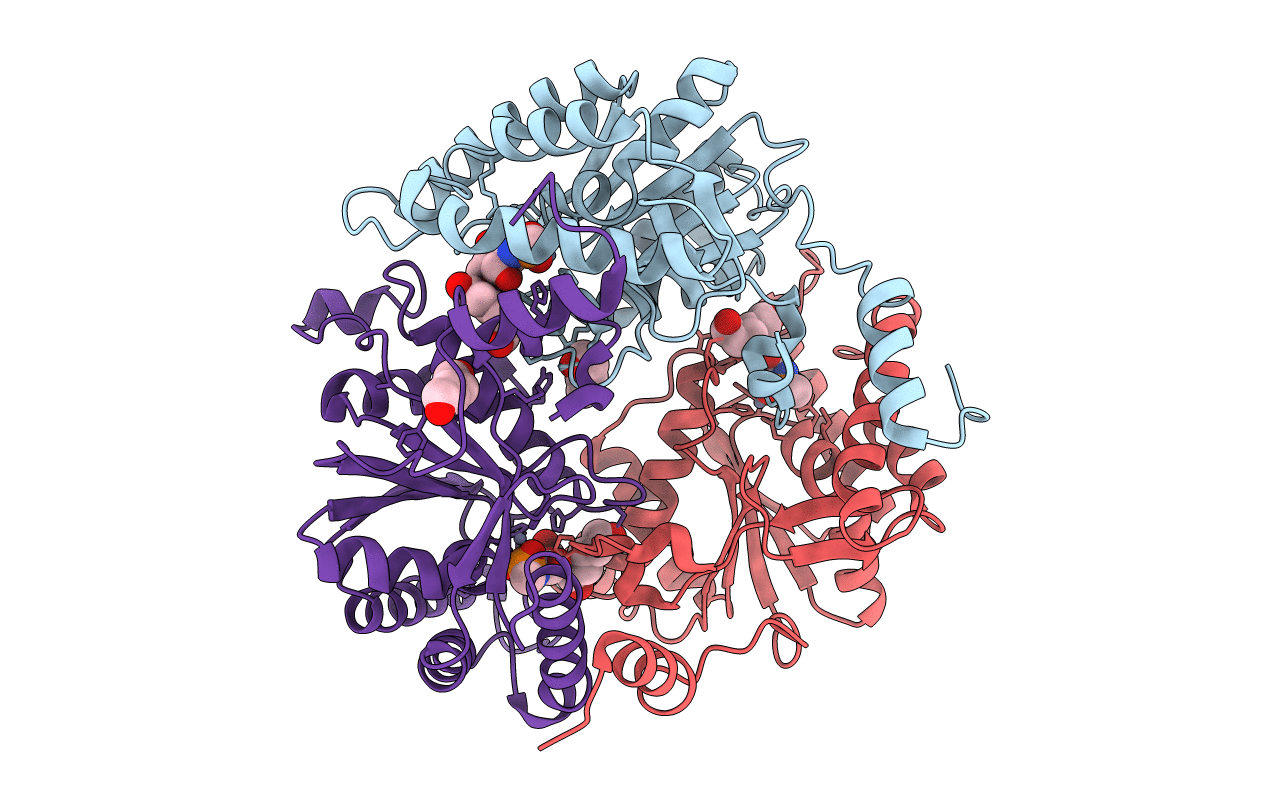 5B2E image