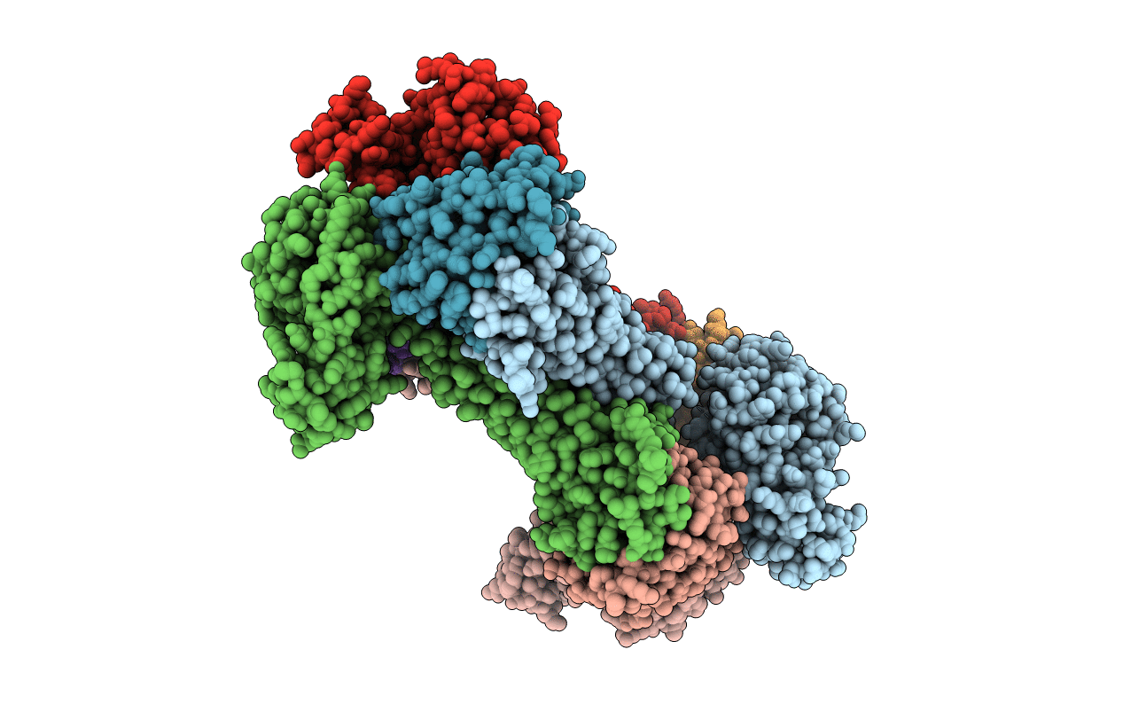 5B2G image