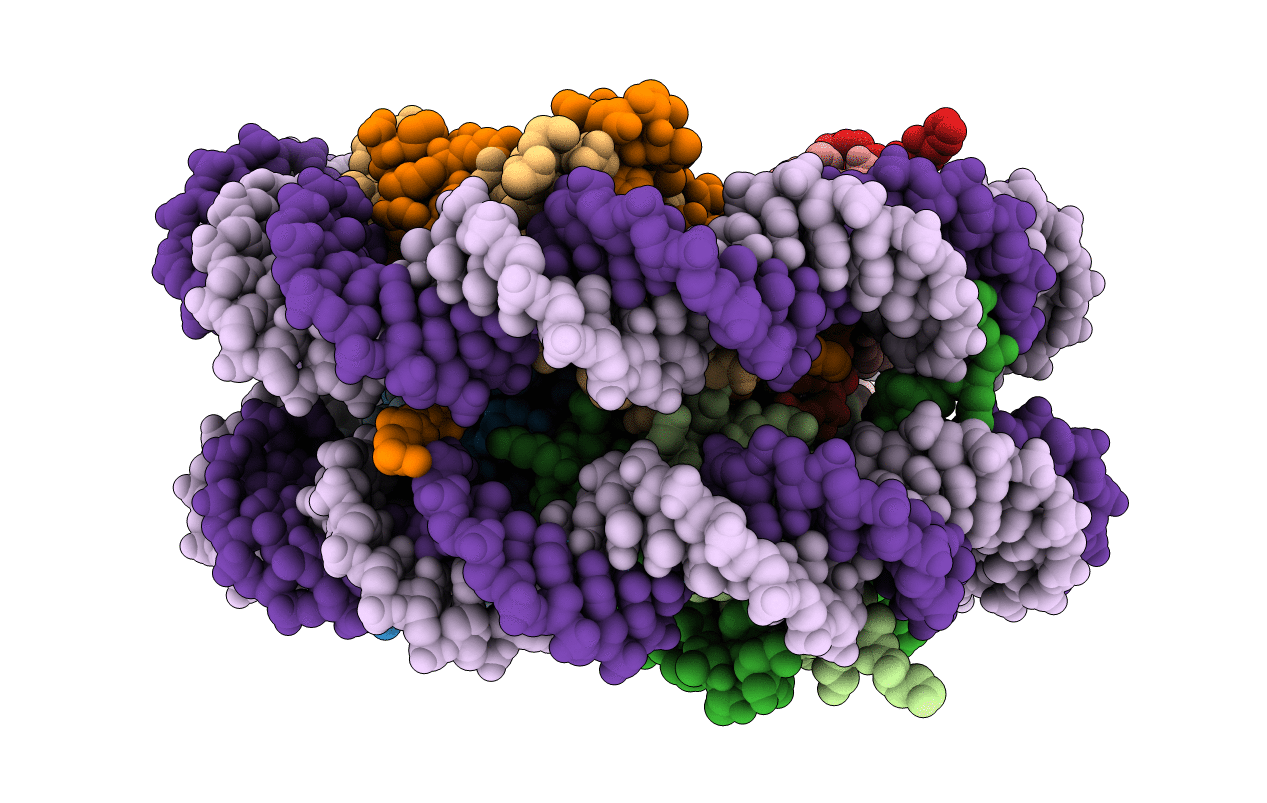 5B2I image
