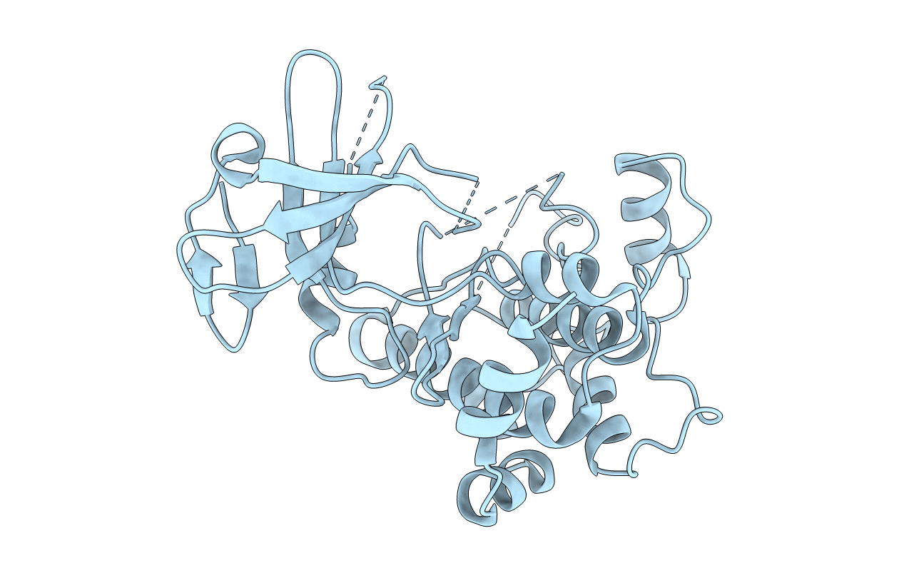 5B2K image