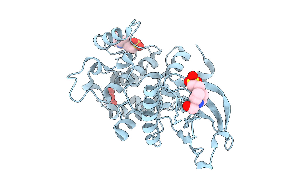 5B2L image