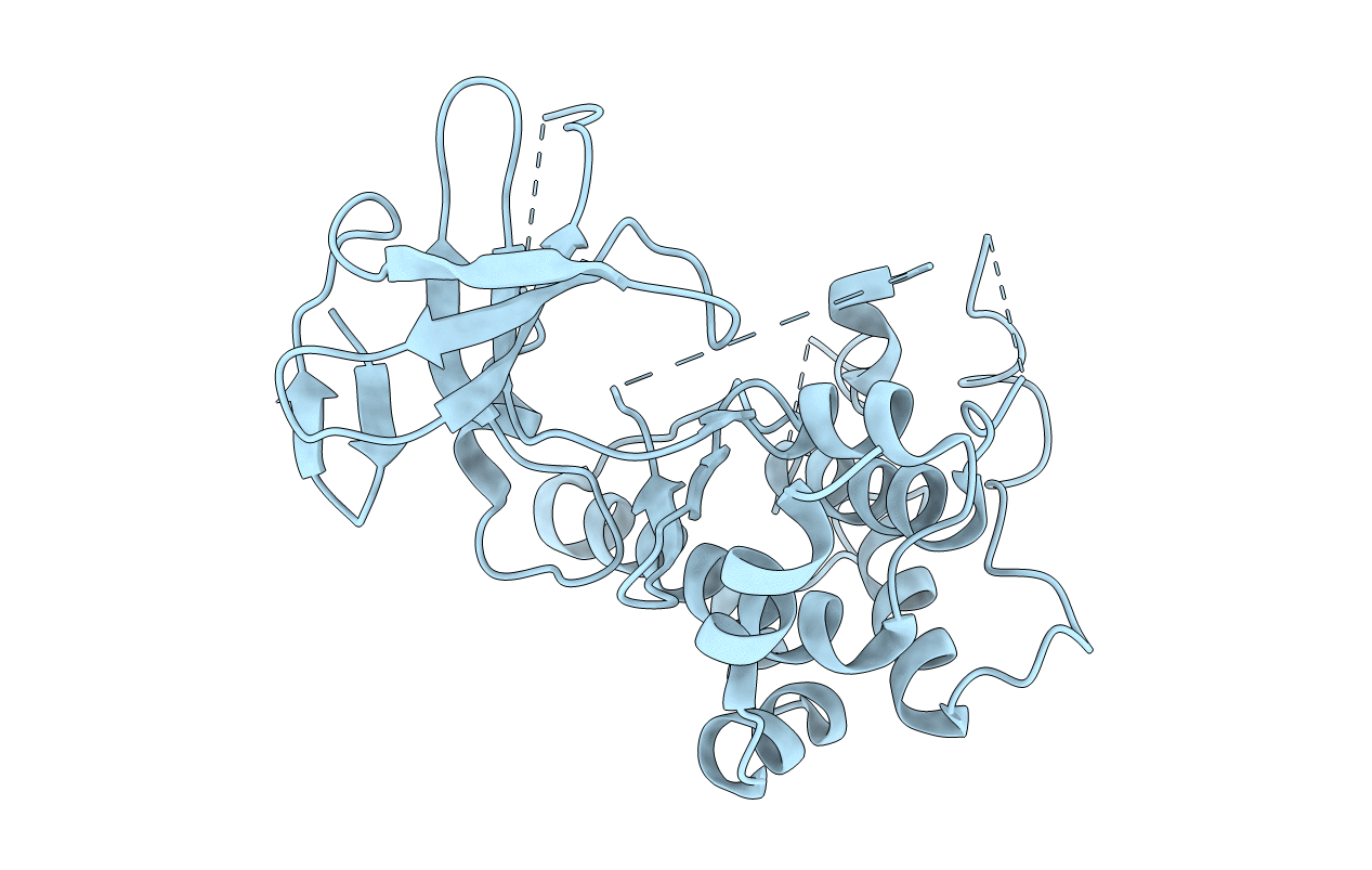 5B2M image
