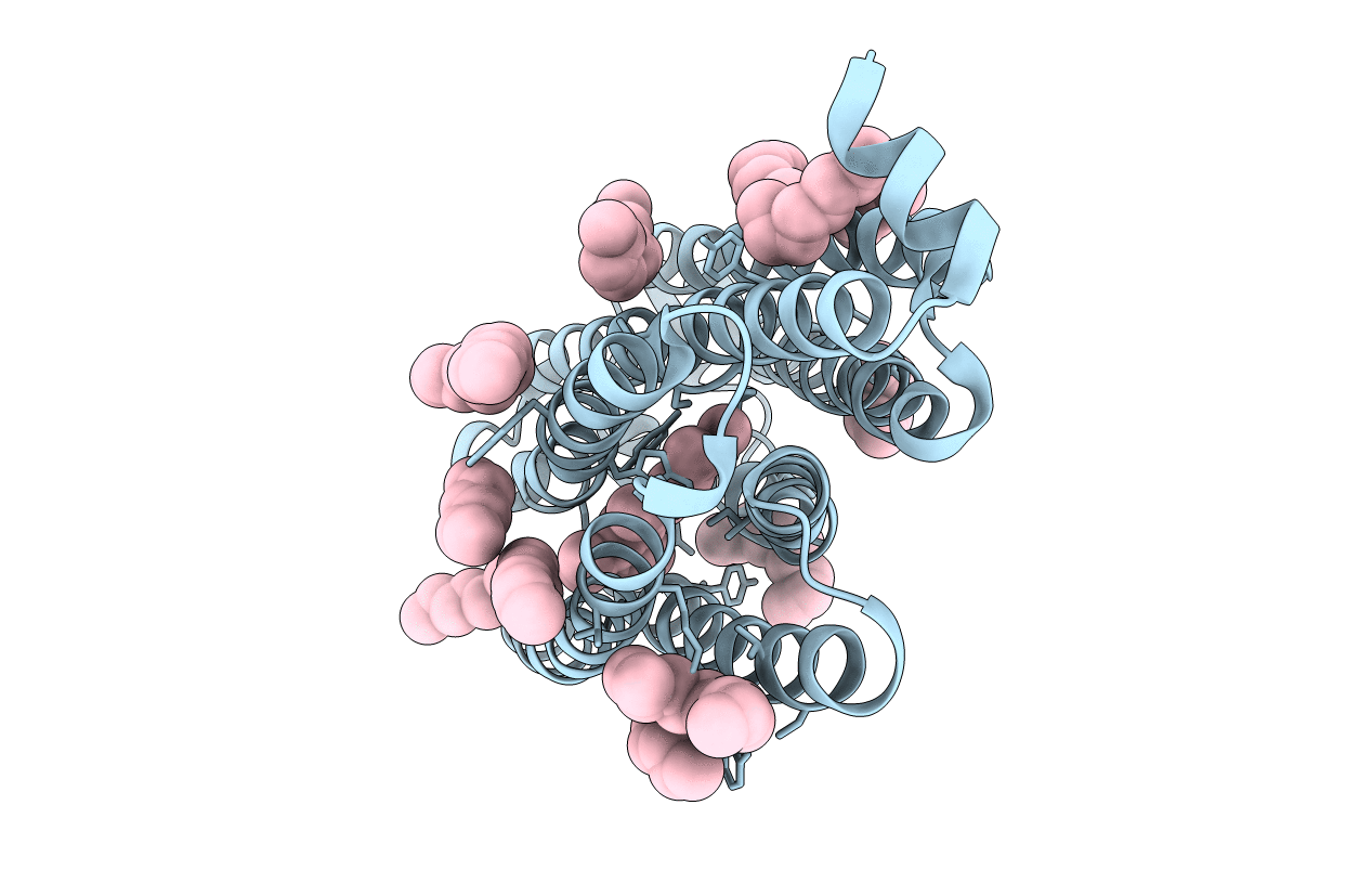 5B2N image