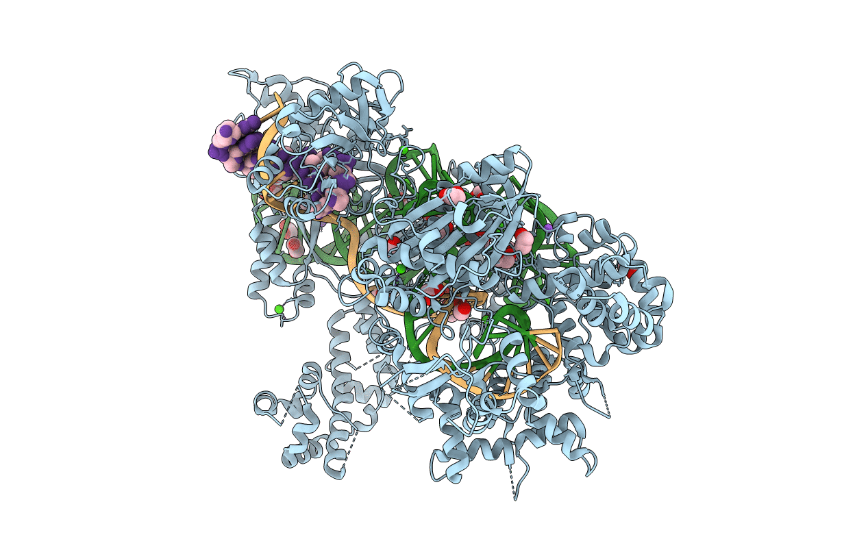 5B2P image