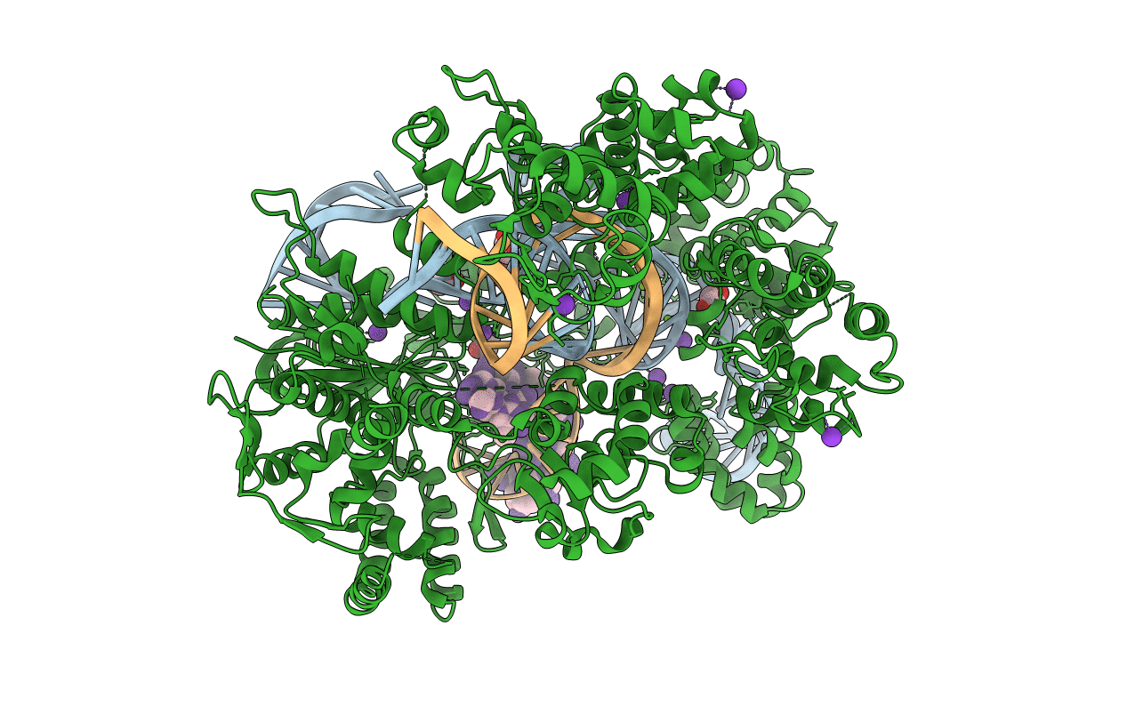 5B2R image