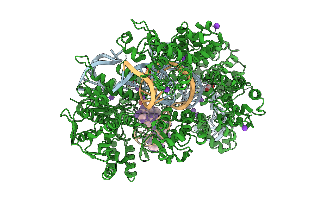 5B2S image