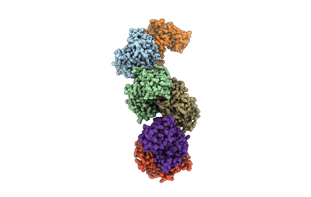 5B37 image