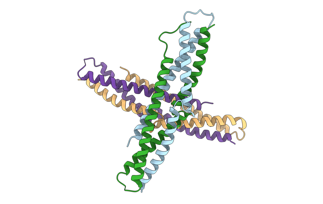5B3D image