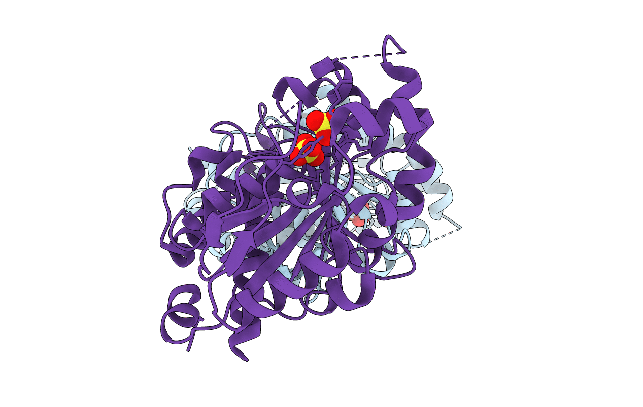 5B3F image
