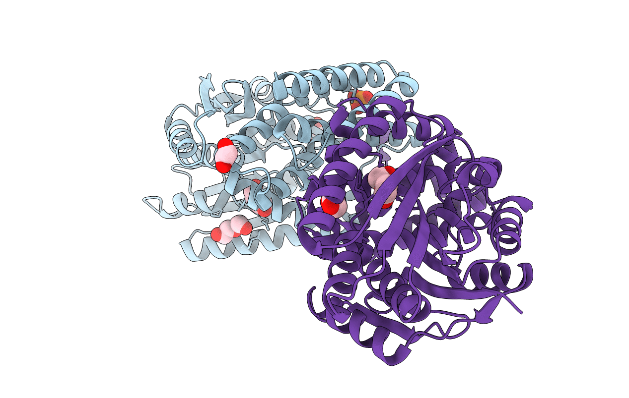 5B3G image