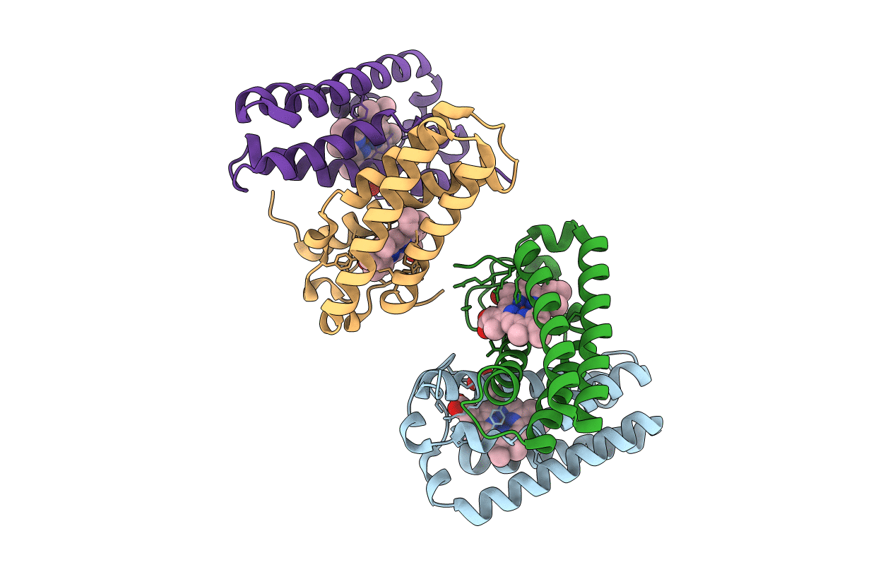 5B3I image