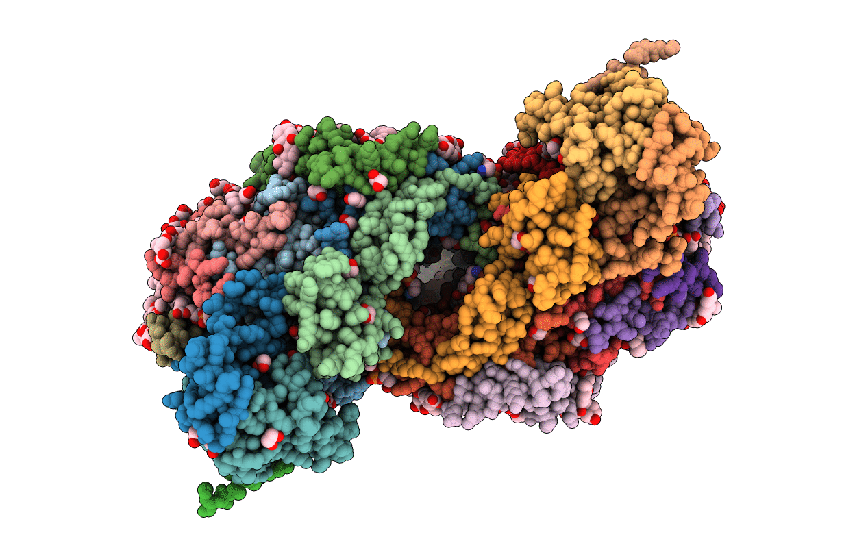 5B3S image