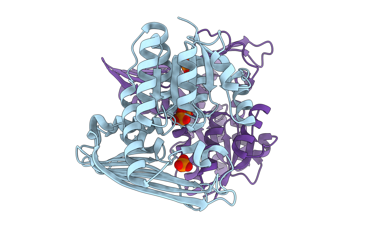 5B3T image