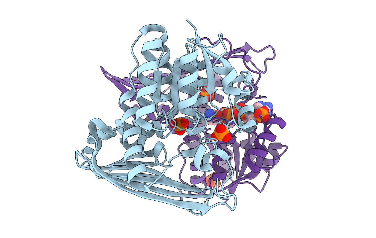 5B3U image