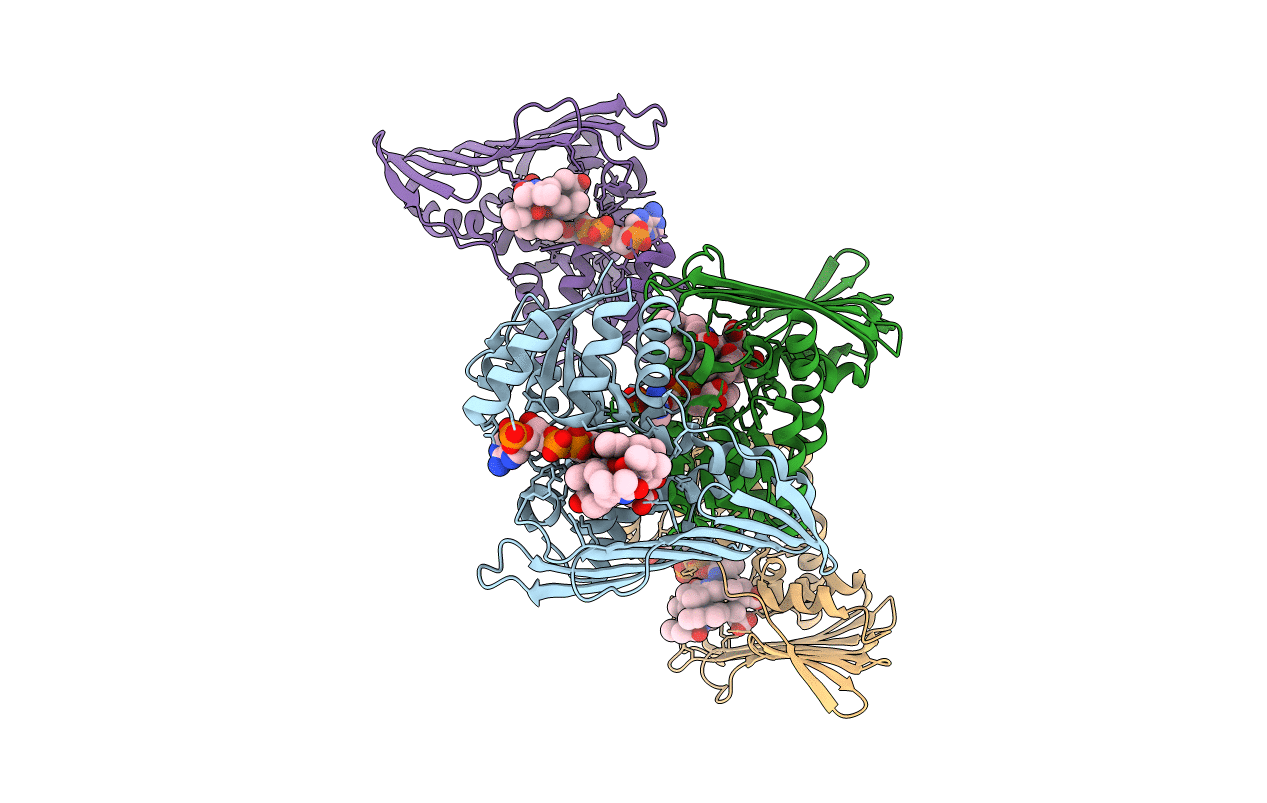 5B3V image