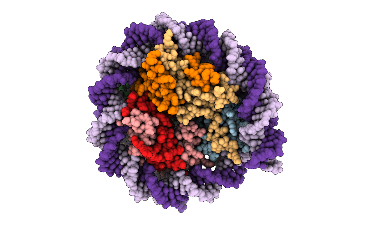 5B40 image