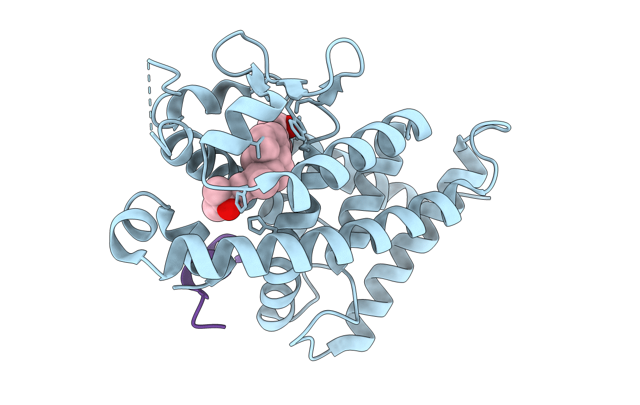 5B41 image
