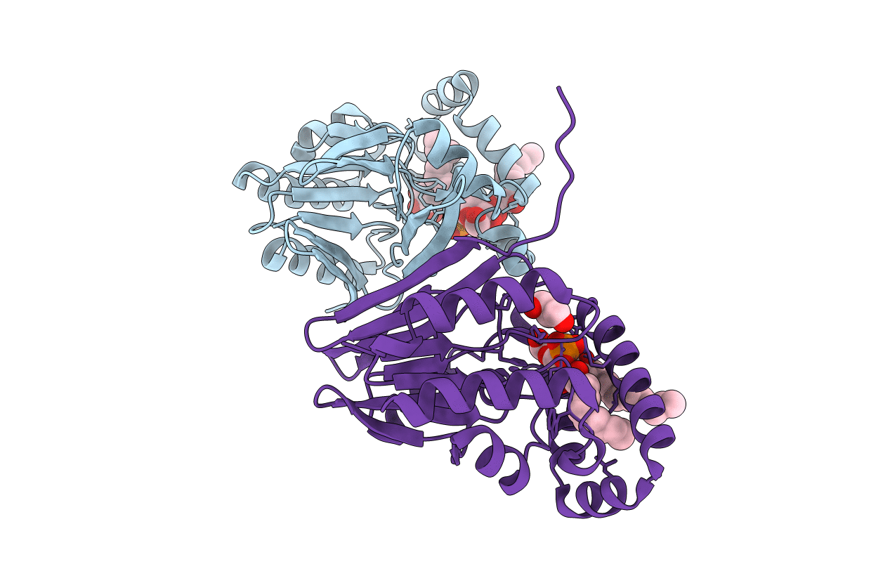 5B4A image