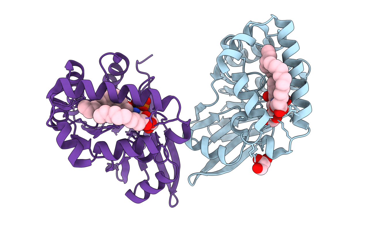 5B4B image