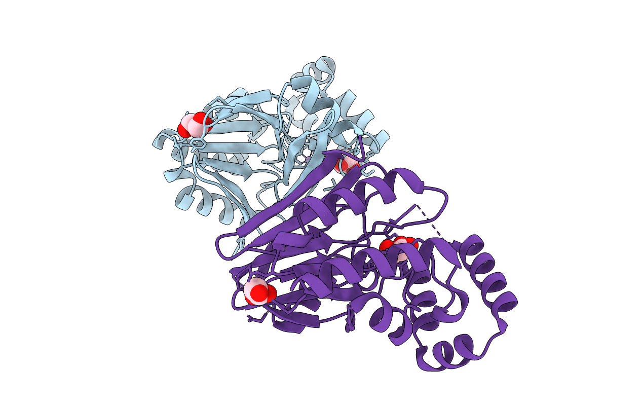 5B4C image