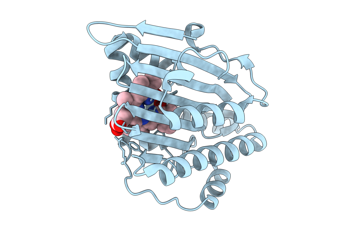 5B4J image