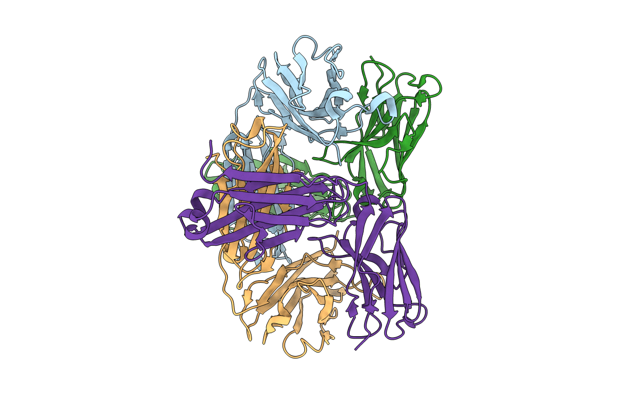 5B4M image