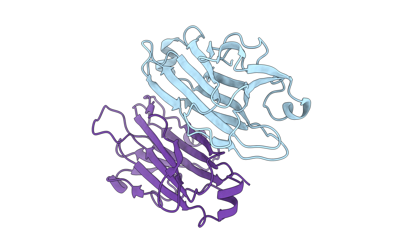 5B4N image