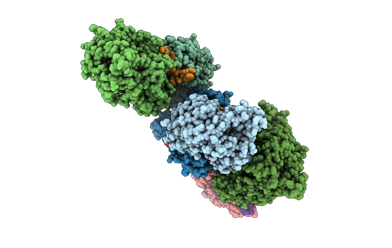 5B4W image
