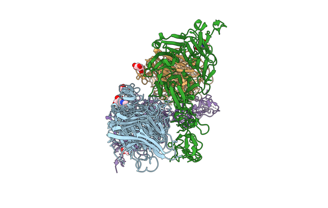 5B4X image