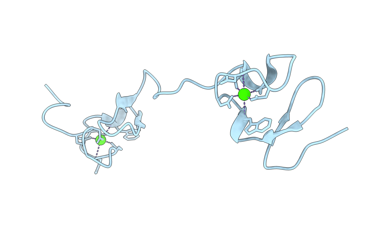5B4Y image