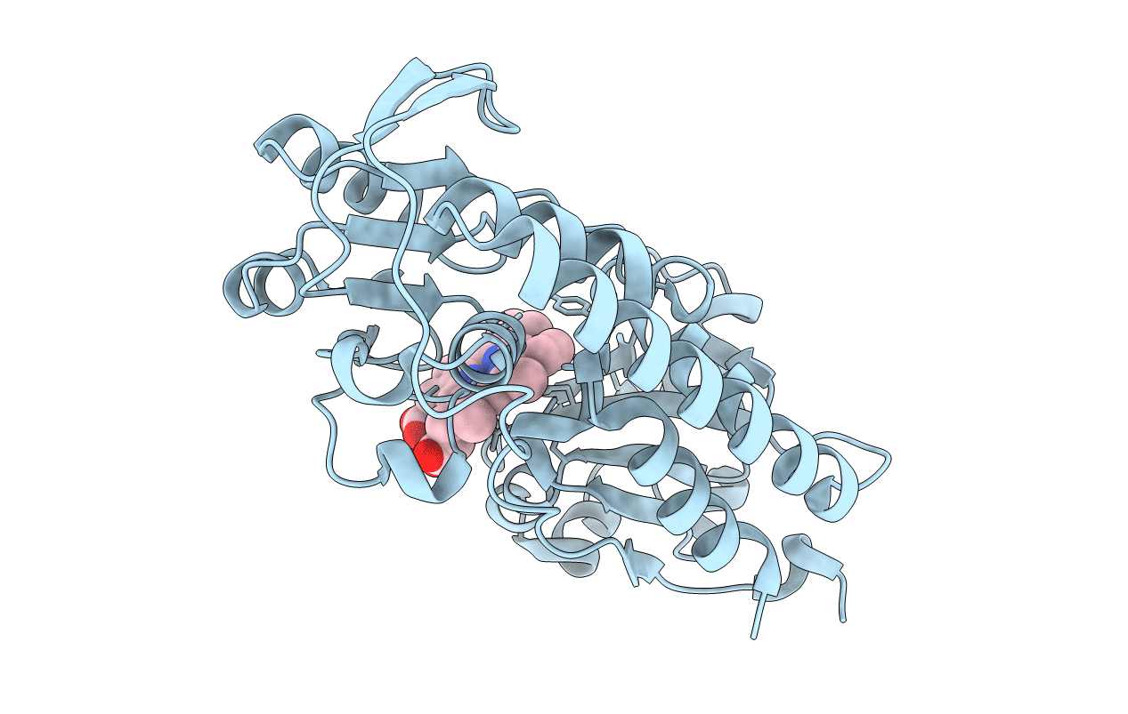 5B4Z image