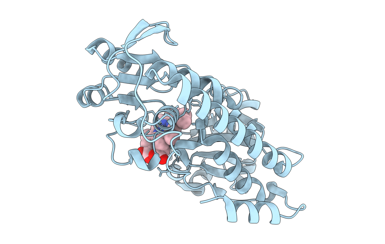 5B50 image