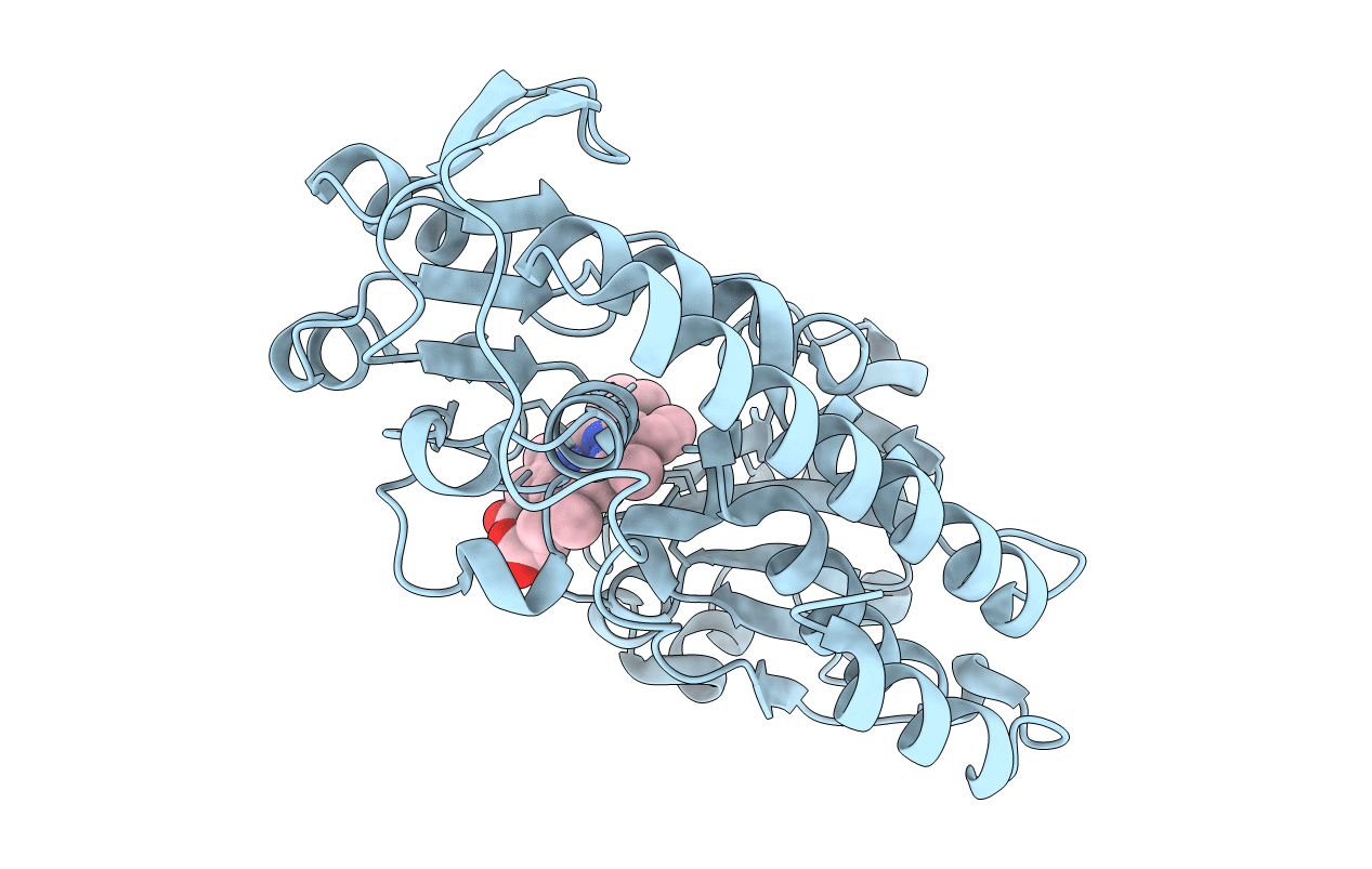 5B51 image