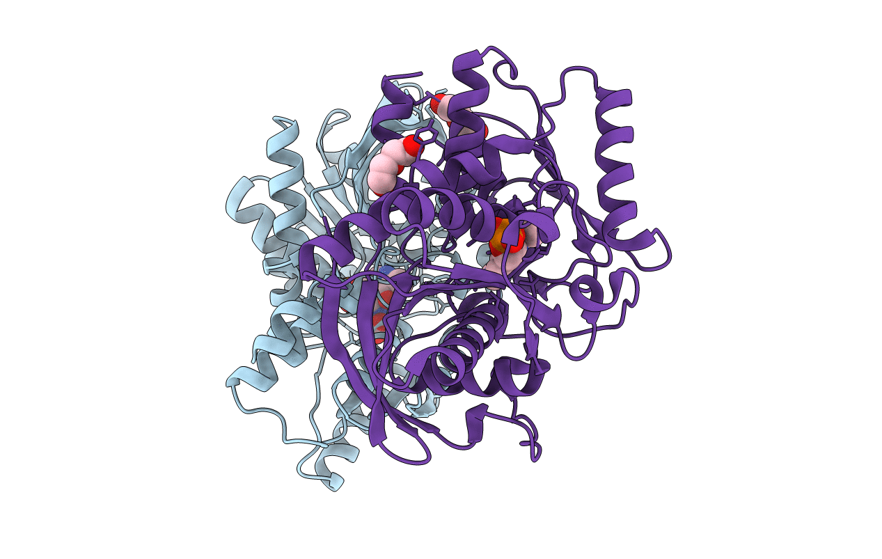 5B55 image
